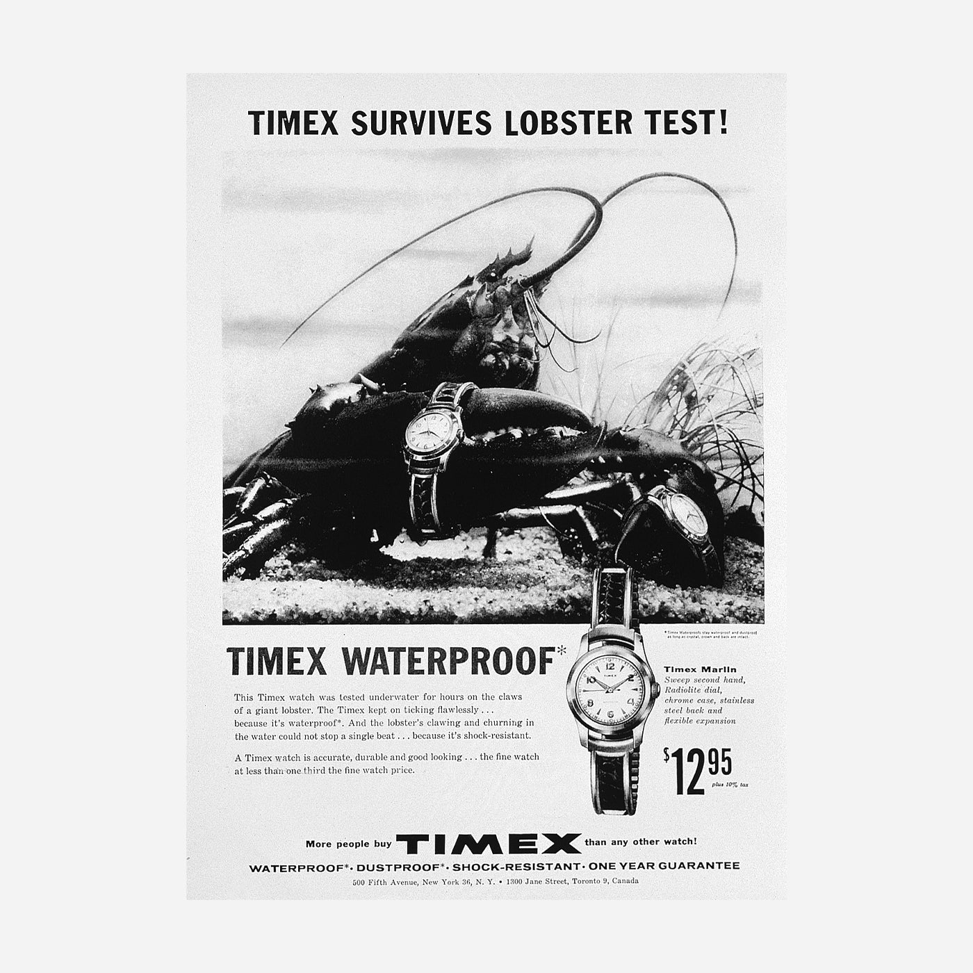 Timex guarantee sales