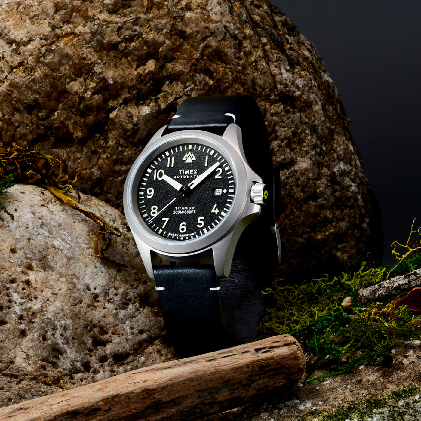 Timex deals expedition analog