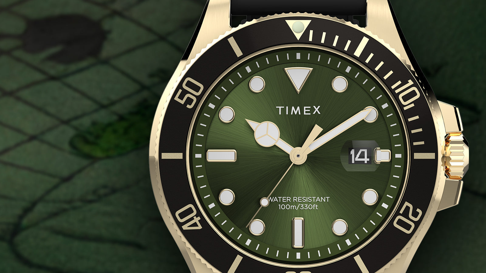 Close-up of the Timex Harborside Coast watch face featuring a green sunray dial, gold-tone details, black bezel, and 100m water resistance marking.