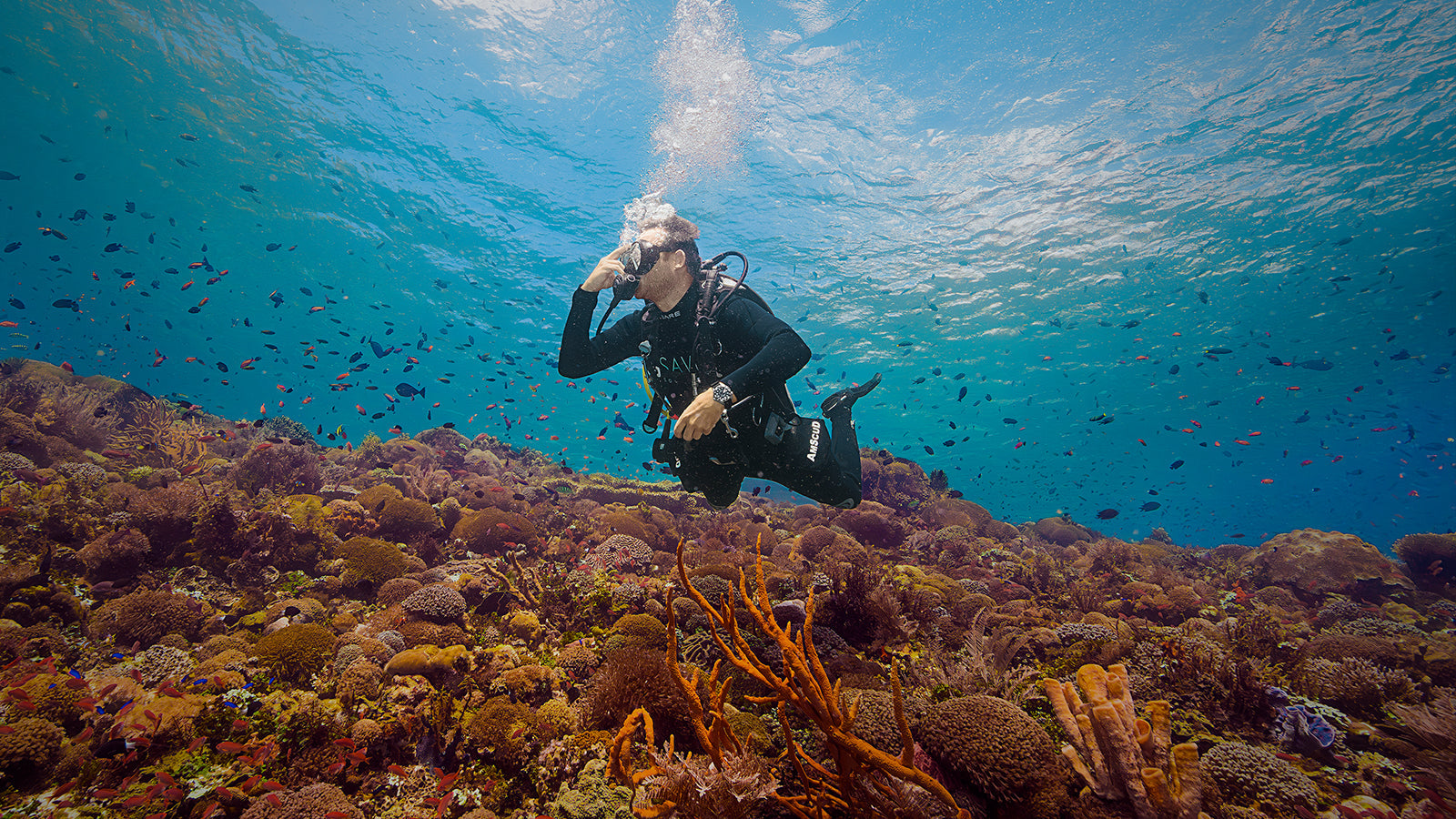 Scuba diver exploring a vibrant coral reef while wearing the Timex Deepwater Meridian 200 Automatic GMT, highlighting its dive-inspired design and 200-meter water resistance.