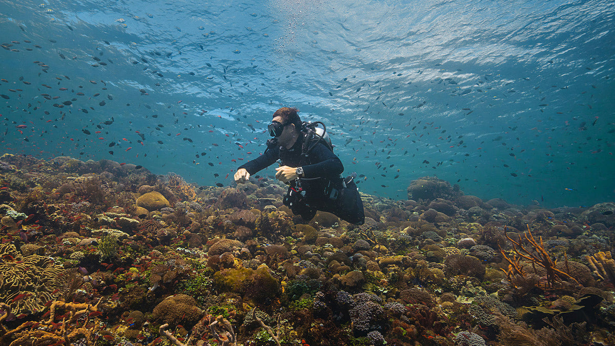 Scuba diver wearing the Deepwater Meridian 200 HEV Automatic while swimming above a colorful coral reef.
