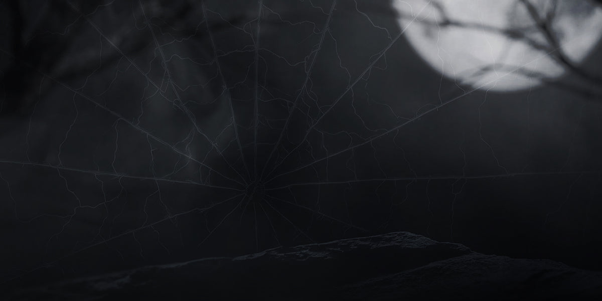Spiderweb stretched above a dark rocky surface, with a full moon and silhouetted branches in the background.