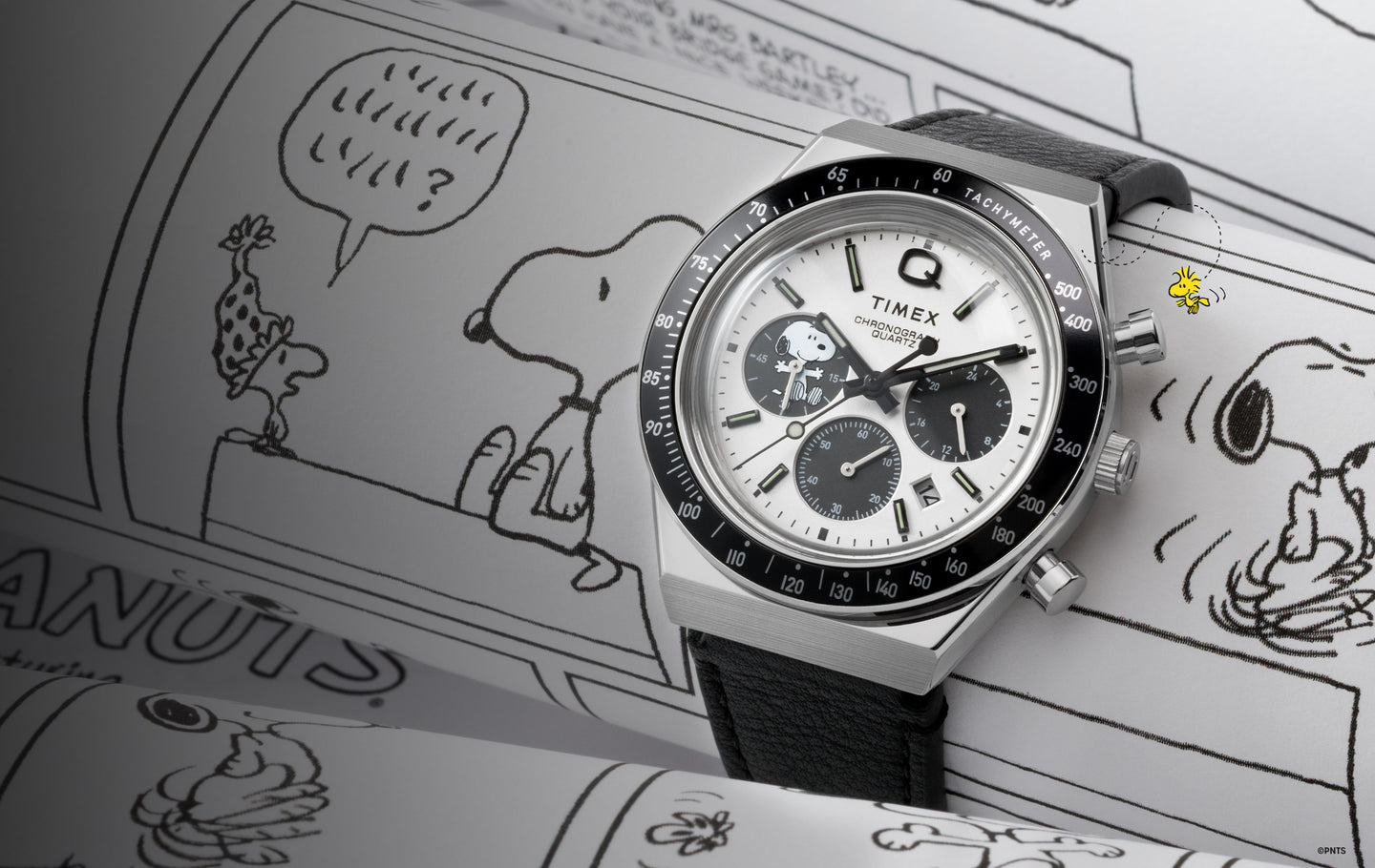 Q Timex Chronograph x Peanuts Snoopy Watch
