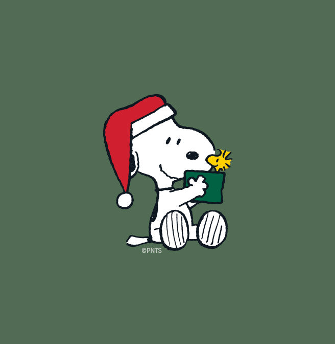 Snoopy on his santa hat and woody inside a green box