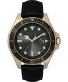 TW2V42200 Harborside Coast 43mm Leather Strap Watch Primary Image