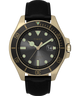TW2V42200 Harborside Coast 43mm Leather Strap Watch Primary Image