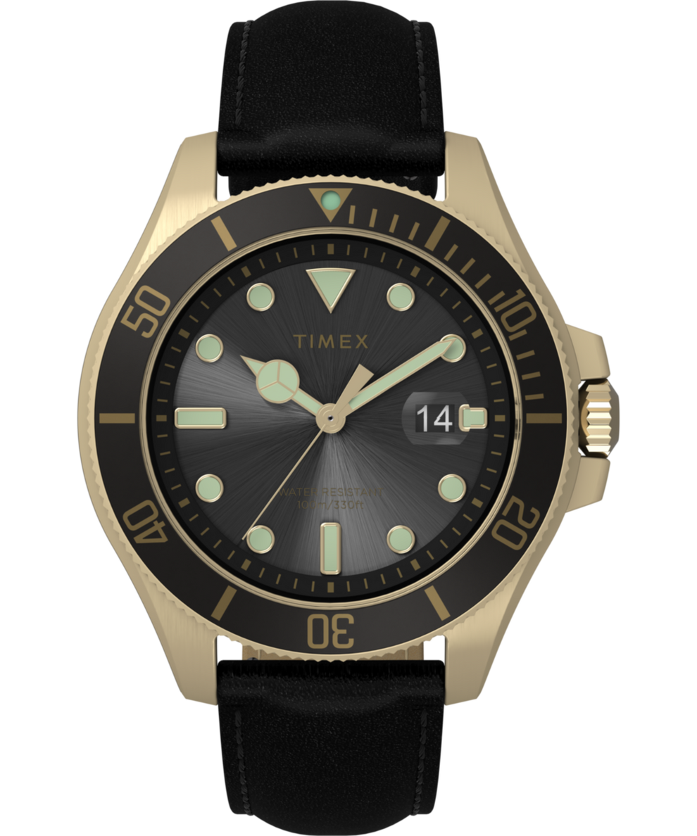 TW2V42200 Harborside Coast 43mm Leather Strap Watch Primary Image