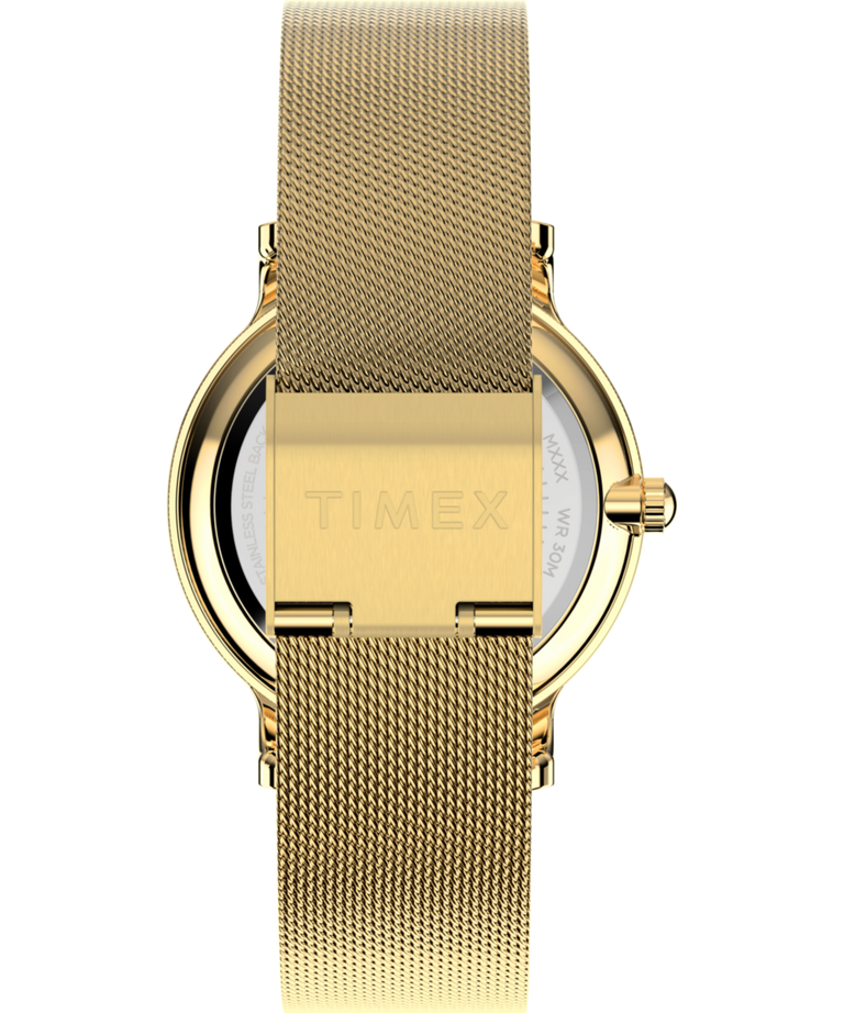 TW2W19300 Transcend 34mm Mesh Bracelet Watch Strap Image