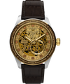 TW2Y75500 Harry Potter x Timex Waterbury Skeleton Automatic 39mm Leather Strap Watch Primary Image