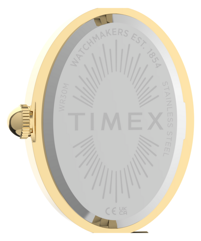 TW2Y86100 Cavatina® Luxe 22mm Stainless Steel Watch   Caseback Image