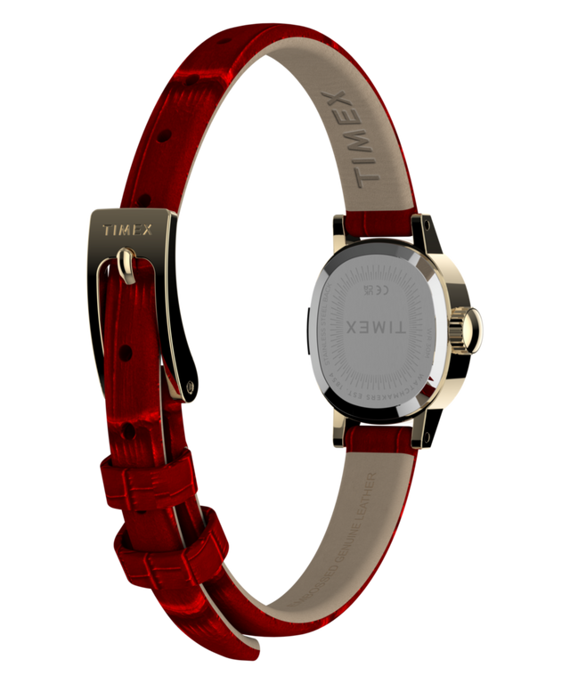 TW2Y87900 Cavatina® Mini 17mm Leather Strap Watch Caseback with Attachment Image