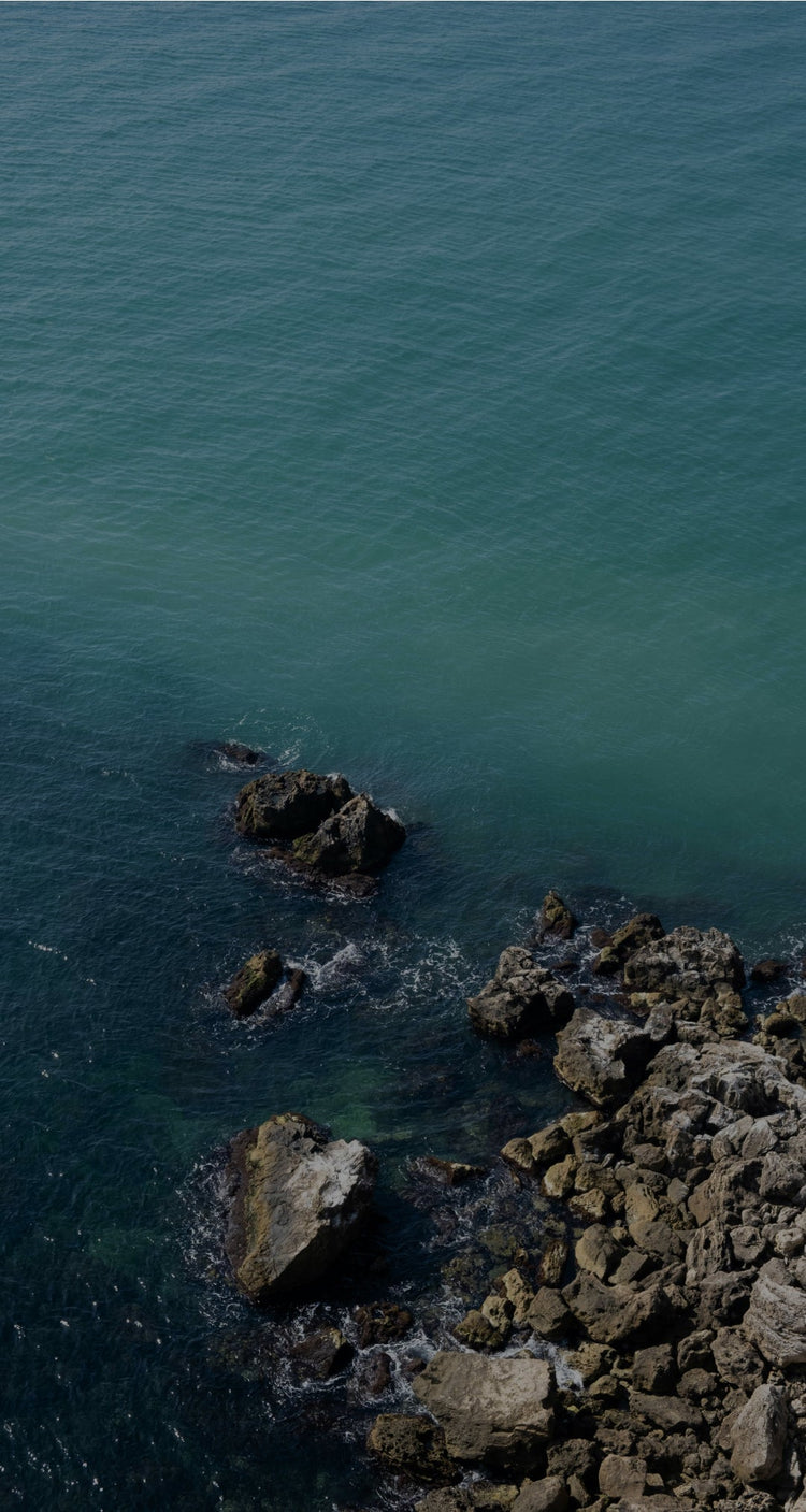 An Image of an ocean with rocky shore